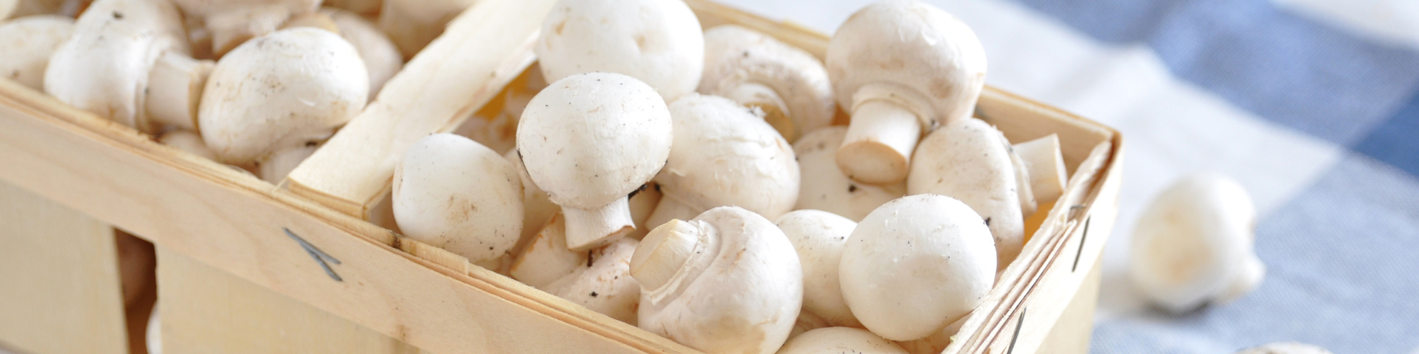 Mushrooms & truffels