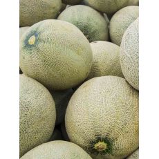 Cantaloups