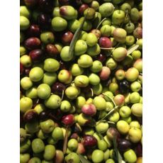 Olives