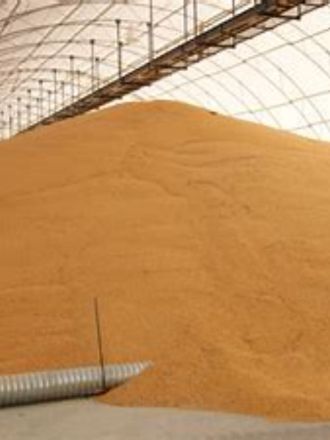 Grain storage