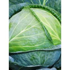 Cabbages